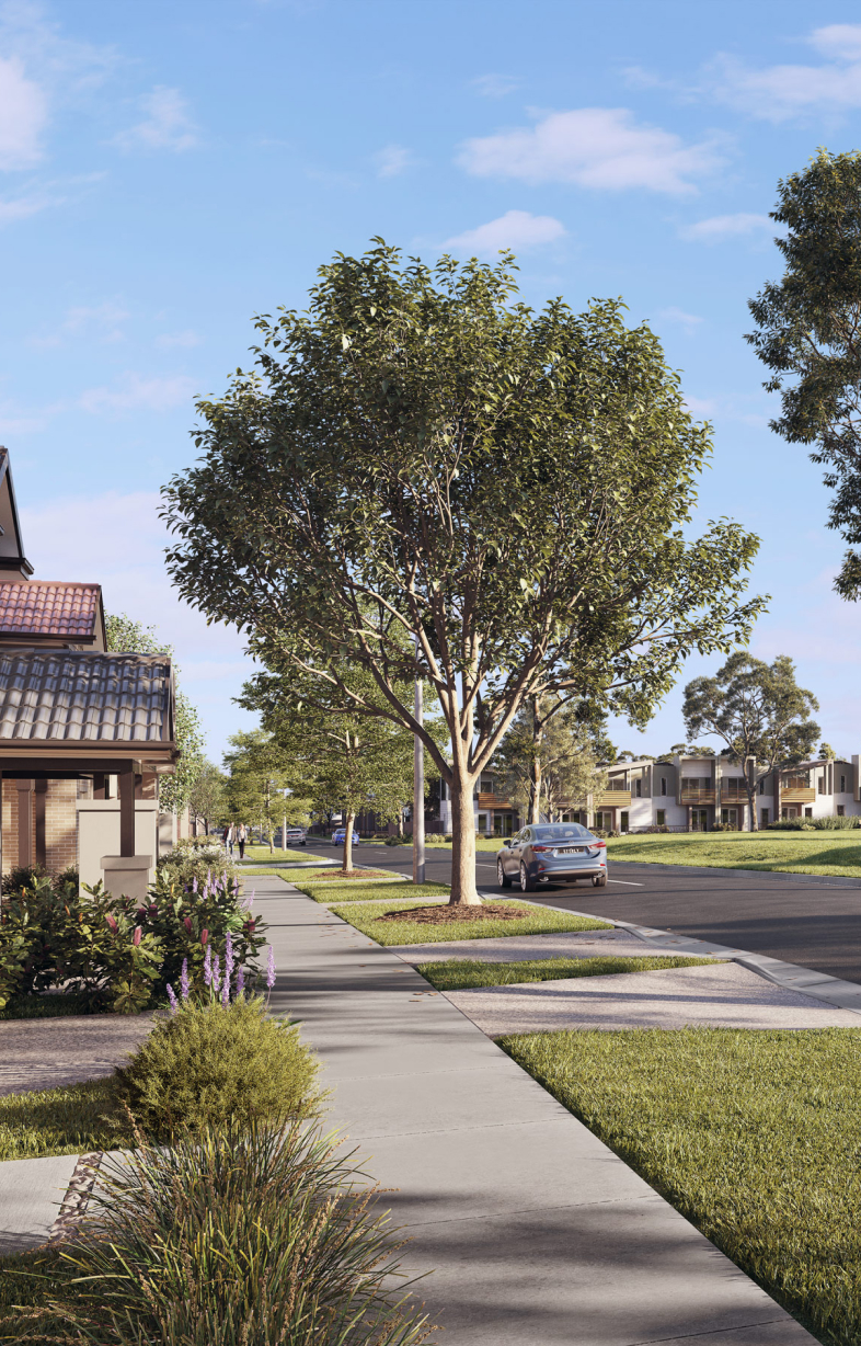 Dedicated project team